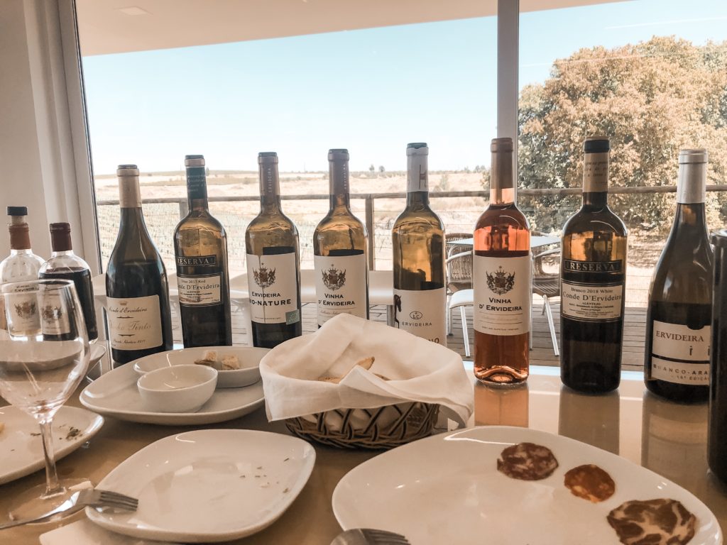 Dégustation de vin au domaine d'Ervideira en Alentejo au Portugal