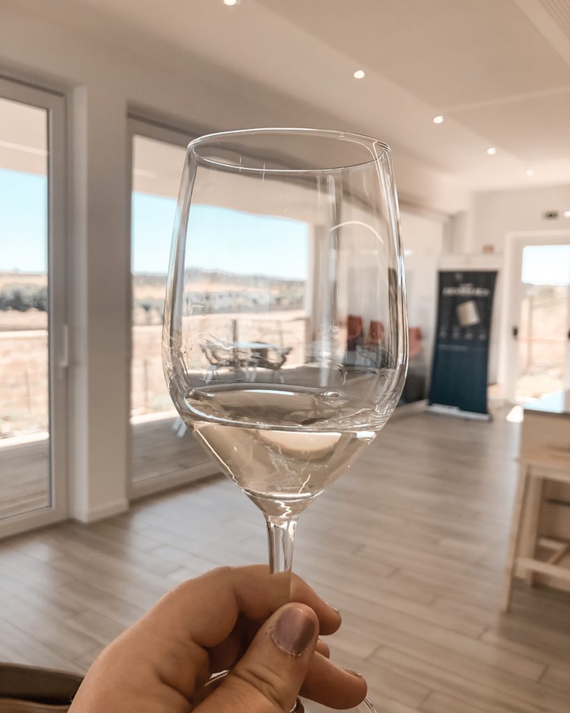Vin "Invisivel" (invisible) Dégustation de vin au domaine d'Ervideira en Alentejo au Portugal