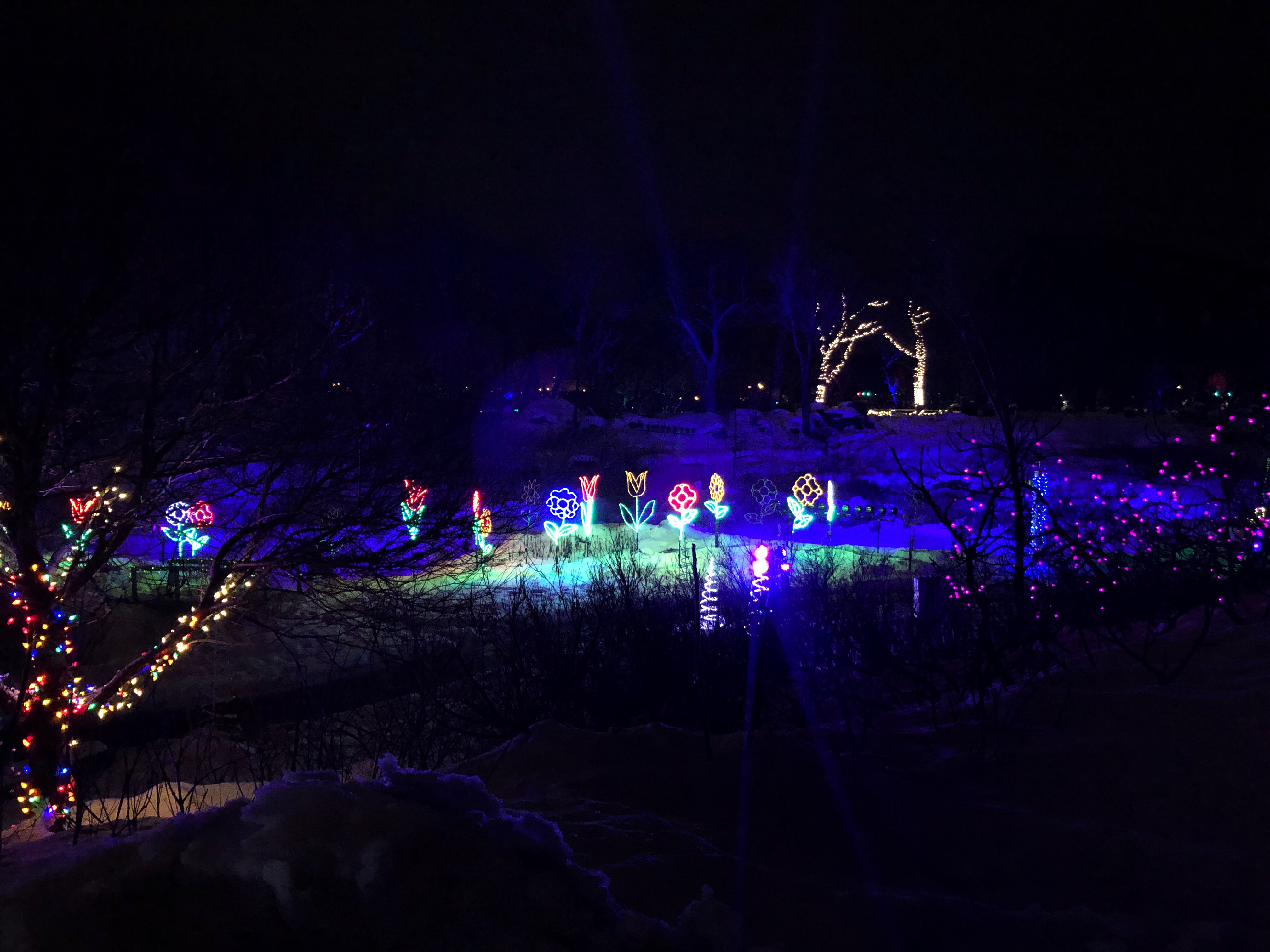 Festilumières à l'Aquarium de Québec - Décembre 2018