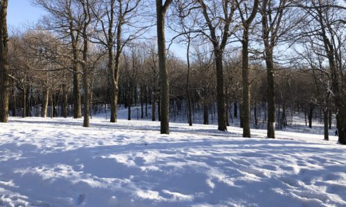 Top 10 des activités à faire à Montréal en hiver
