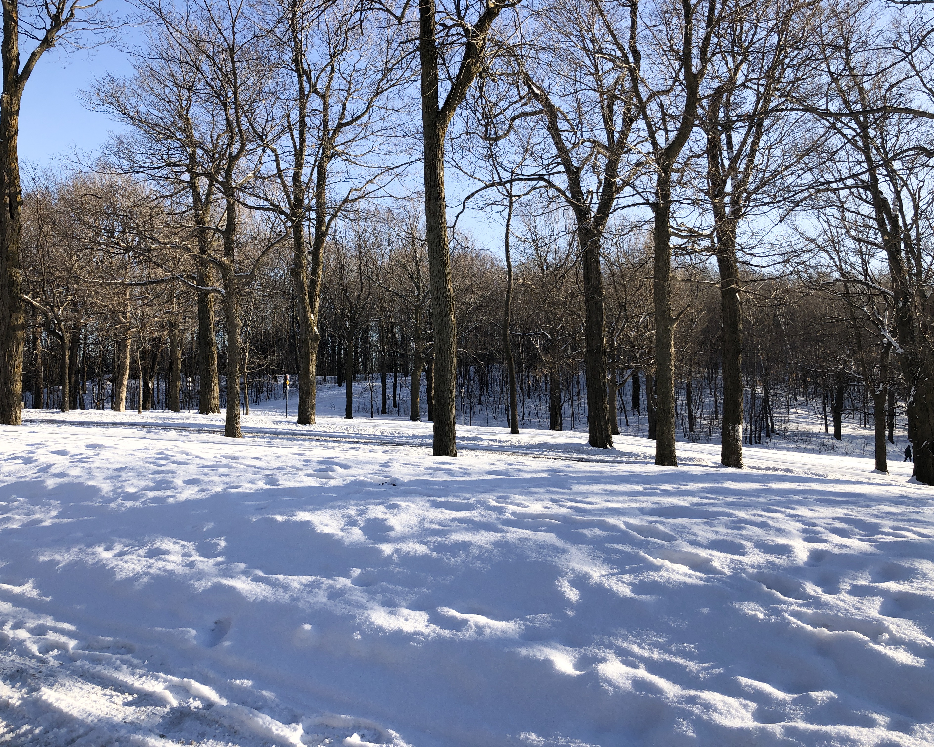 Top 10 des activités à faire à Montréal en hiver